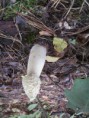 /album/integratie-3kk-1l/herfstwandeling-2-361-jpg/